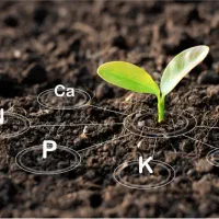 کودهای کشاورزی