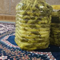 ترشی بیلهر