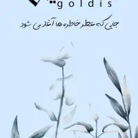 ماشین عروس