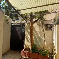 اجاره ویلایی ۸۰متری ۱ خوابه