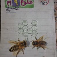 کتاب علوم خیلی سبز نهم تیزهوشان