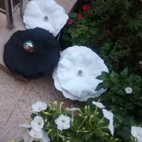 لوستر شیک و خاص زارا هوم