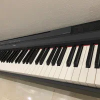 پیانو p115 دیجیتال|پیانو، کیبورد، آکاردئون|بهشهر, |دیوار