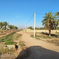 فروش سه قطعه زمین باغی به مساحت هر قطعه ۹۳۳ متر|فروش زمین و ملک کلنگی|سوسنگرد, |دیوار
