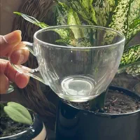 استکان چای خوری