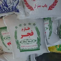 برنج فجر شیراز .چمپا.لنجان فوق اقتصادی