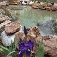 اجاره آپارتمان ۱۶۰ متری ۲ خوابه|اجارهٔ آپارتمان|شمشک, |دیوار