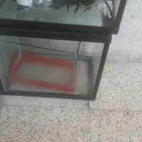 فروش سه عدد آکواریوم با لوازم جانبی