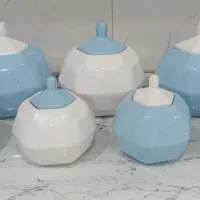 پاسماوری سرامیکی