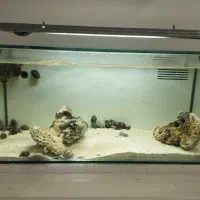 اکواریوم بک سامپ ابشور