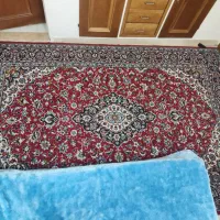 دو عدد قالی12و6متری|فرش|شیراز, ارم|دیوار