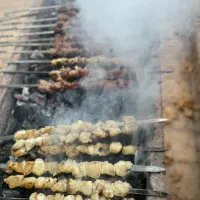 تور کویر|تور و چارتر|شیراز, دانشگاه شیراز|دیوار