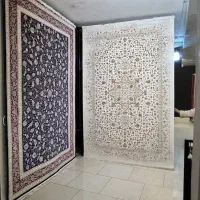 ۹ متری|فرش|کرج, کوی کارمندان شمالی|دیوار