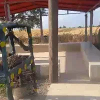 فروش یک قطعه باغ انگور و میوه جات|فروش خانه و ویلا|اشترینان, |دیوار