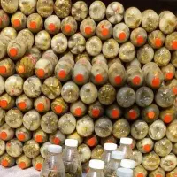 خیار شور بطری خانواده