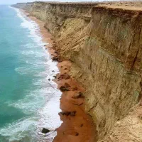 همخونه میشم