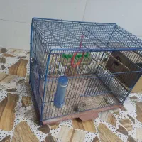 قفس پرنده با وسایل کامل|لوازم جانبی حیوانات|اهواز, پردیس دو|دیوار