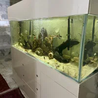 اکواریوم ۲۲۰در۷۰در۷۵ فول امکانات ۲۰میل کریستال