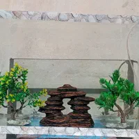 آکواریوم با تمام وسایل|ماهی|مراغه, |دیوار