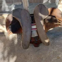 زین اسب|اسب و تجهیزات اسب‌سواری|بوکان, |دیوار