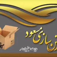 کارتن سازی مسعود