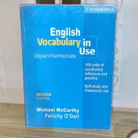 English vocabulary in use