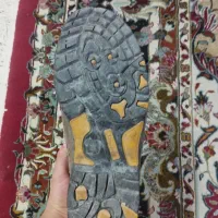 کفش کوه نوردی|کیف، کفش، کمربند|بجنورد, |دیوار