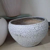 س عدد گلدون