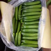 صیفیجات گلخانه ای صادارتی|عمدهفروشی|آستارا, |دیوار