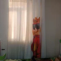 فرش|فرش|پاکدشت, پاکدشت (مامازند)|دیوار