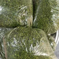 آبغوره طبیعی ارزانتر از همه جا و سبزی خورد شدە|خوردنی و آشامیدنی|سقز, |دیوار