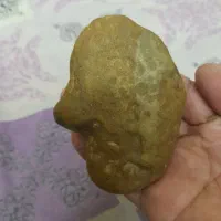 شهاب سنگ|جواهرات|قم, شاه سید علی|دیوار