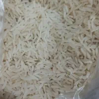 برنج فجر سوزنی