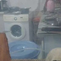 ماهی زیبا|ماهی|سنندج, |دیوار