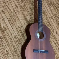 گیتار پارسی مدل M2