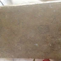 تخفیف کتاب نایاب طبیب خانواده سال چهل و چهار|کلکسیون و سرگرمی|تهران, صادقیه|دیوار