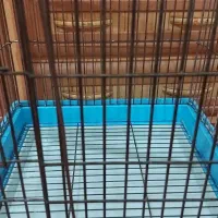 قفس طوطی بزرگ