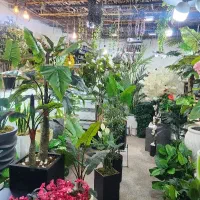 نیازمند نیروی جوان وفعال برای رسیدگی به مغازه
