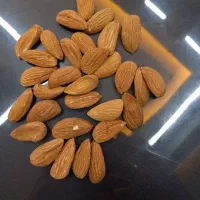 فروش عمده و‌خرده مغز بادام