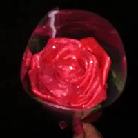 گل روبانی|گل مصنوعی|گنبد کاووس, |دیوار