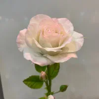 گل های انعطافی|گل مصنوعی|تهران, قنات‌کوثر|دیوار