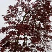 شارژ  کاملا مجانی