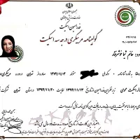 مربی اسکیت|خدمات آموزشی|تهران, پردیسان|دیوار