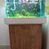 آکواریم با ابعاد ۶۰ ×۴۰×۴۰