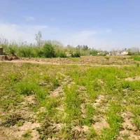 8000متر بهترین گزینه سرمایه گذاری و ساخت گلخانه‌|فروش زمین و ملک کلنگی|لاهیجان, آهندان|دیوار