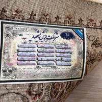 چهار عدد فرش مشهد|فرش|رشت, کاکتوس|دیوار