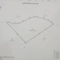 زمین کشاورزی