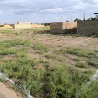 زمین ارزان شهرآرا پایین ترین قیمت منطقه|فروش زمین و ملک کلنگی|نیشابور, شهرآرا|دیوار