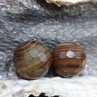 مهره های اصل اصل|کلکسیون اشیاء عتیقه|رامهرمز, |دیوار