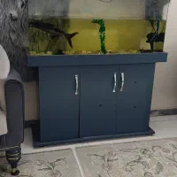 فروش اکواریوم همراه ماهی های داخلش